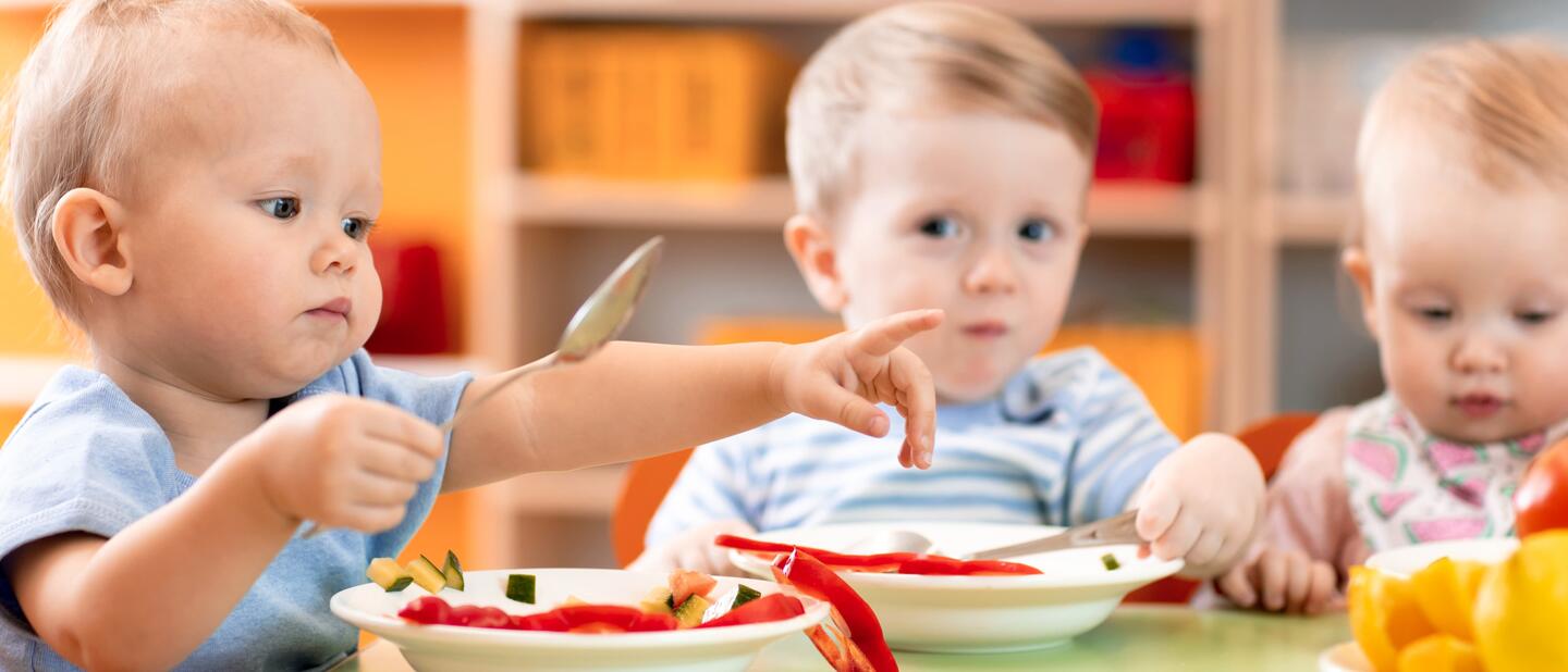 Eten en drinken in de Kinderopvang | Risicomonitor